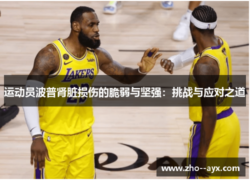 运动员波普肾脏损伤的脆弱与坚强：挑战与应对之道